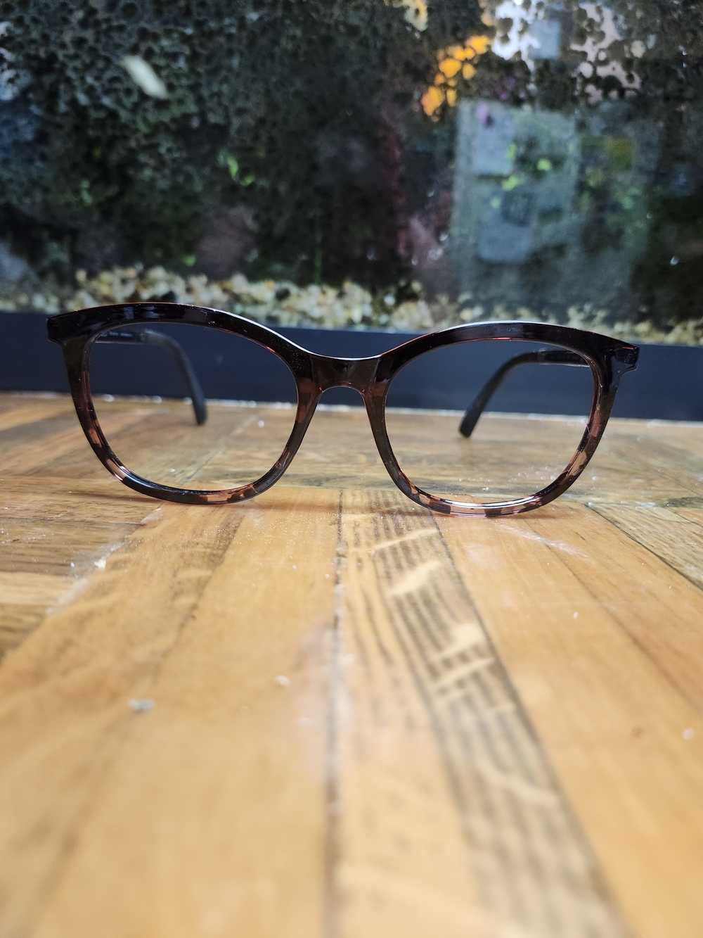 Eco By Modo Tortoiseshell Round Eyeglasses Frame - Brown Tortoise